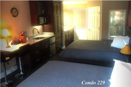 Unit 229